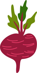 Beetroot, Fresh Vegetable Flat Illustration