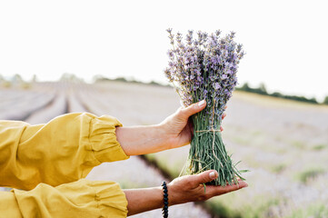 woman in yellow dress stands in lavender field, gently holding bouquet of lavender flowers. She appears serene and contemplative, enjoying beauty and fragrance of blossoms around her.
