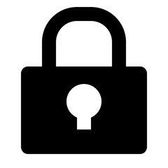 security solid icon