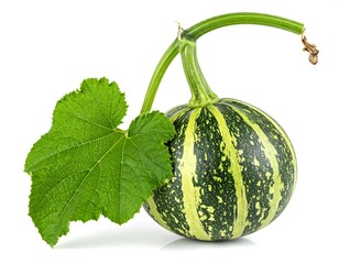 Green Striped Pumpkin with Leaf on White Background
