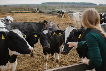 Young woman farmer near a paddock with cows on a farm.