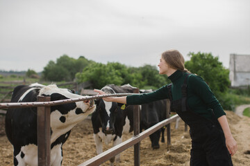 A young female farm worker strokes a cow. Farming concept.