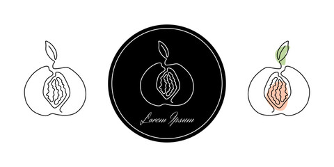 Set of minimalistic continuous line art of peach with pit with leaf for the logo in various designs. Peach in one line art style. Isolated on white background