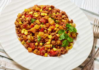 ground beef stew of potatoes and chopped tomatoes