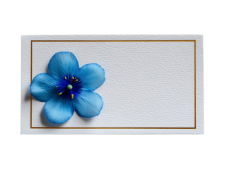 A blue flower is on a white background. Isolated on transparent background