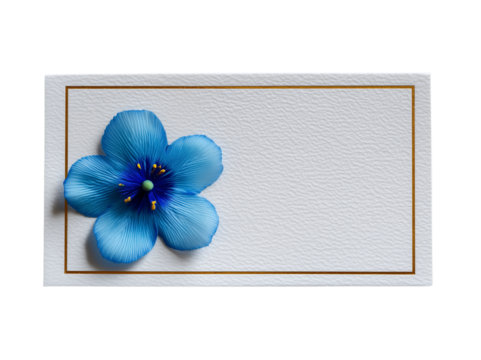 A blue flower is on a white background. Isolated on transparent background