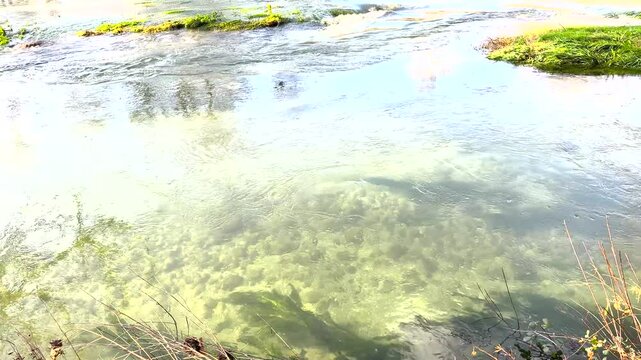The high water of the Vez river in Arcos de Valdevez is gin clear after the rain.
