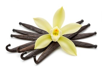 Vanilla flower blossom with pods arranged on a white background, showing the spice and its source