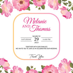 Pink peony rose flower frame for invitation card. Wedding card template with blooming roses isolated on white background and custom text. Pink flowers on white background