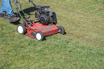 Gardener uses scarifier to remove moss from a lawn, improving its health and appearance, Seasonal gardening on a bright sunny spring day, copy space 
