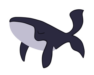 Fototapeta premium Vector isolated illustration of a whale on a white background.