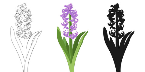 Blooming Hyacinth Spring Flower Outline Silhouette