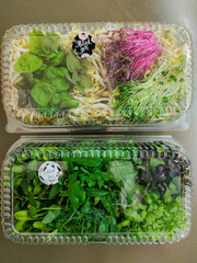 Two assorted microgreens and sprout boxes in clear packaging