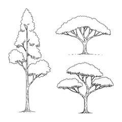Set of minimalist hand-drawn architectural tree illustrations in side view, perfect for CAD drafting, landscape design, and architectural projects.

