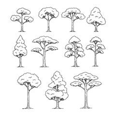 Elegant side view architectural tree sketches in minimalist line art style, ideal for CAD blueprints, landscape architecture, urban planning, and site layout designs

