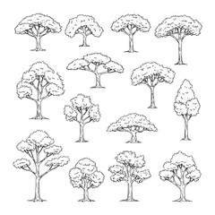 Architectural Drawings, Minimal style cad tree line drawing, Side view, set of section wetland forest outline for landscape design drawing. Vector illustration