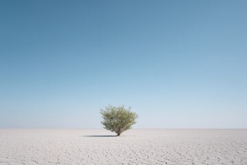 lone sapling sprouts from cracked earth under vast clear sky minimalistic composition with ample copy space highlighting