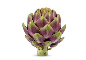 Obraz premium Single artichoke with purple and green leaves isolated on white background