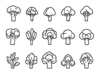 Fresh Broccoli Line Art for Healthy Food Illustrations