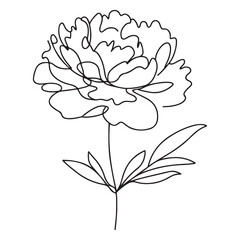 Elegant Peony Flower Silhouette Line Art for Decoration and Prints