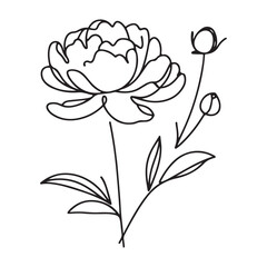 Elegant Single Line Peony Flower Illustration for Botanical Designs
