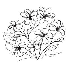 Delicate Floral Line Art Vector Illustration for Creative Designs