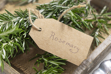 Kraft paper text label near fresh green rosemary sprigs in a tray on white rustic table closeup