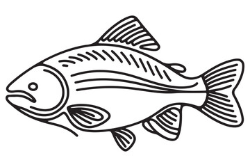 Detailed fish line art vector illustration design element