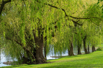 Weiden an der Weser Minden