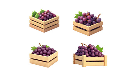 3d icon symbol box of grapes (png)