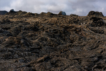volcanic soil in lanzarote