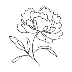 Peony Flower One Line Art Vector Illustration Modern Template