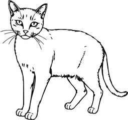 Obraz premium A simple vector of a cat in black and white line