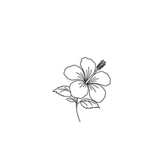 Fototapeta premium Icon of a hibiscus flower representing concepts of tropical beauty and exotic charm