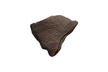 A fragment of Acanthodii or acanthodians fossil isolated on white background. jawed fishes, Spiny shark.