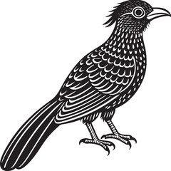 Koel Bird Line Art and Silhouette – Single Black and White Vector Illustration of Asian Cuckoo