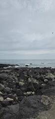 A rocky shoreline under an overcast sky, with dark, textured stones in the foreground and a lone bird soaring above the calm ocean.  