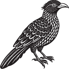 Koel Bird Line Art and Silhouette – Single Black and White Vector Illustration of Asian Cuckoo