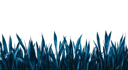 Png of A swath of lush, dark blue-green grass against a stark black background, creating a modern and dramatic visual effect.