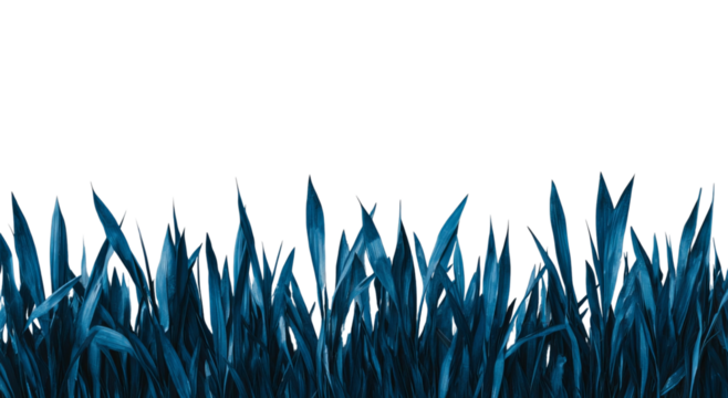 Png of A swath of lush, dark blue-green grass against a stark black background, creating a modern and dramatic visual effect.