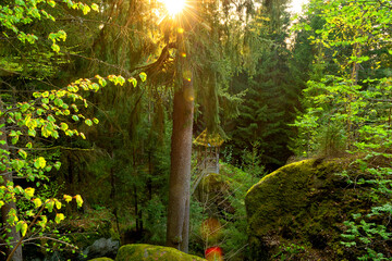 Massive moss-covered rocks in a dense forest and a fabulous gazebo in Bavaria. Lush green moss,...