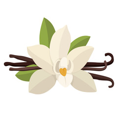 Vector icon image of Vanilla one of the most common food flavors