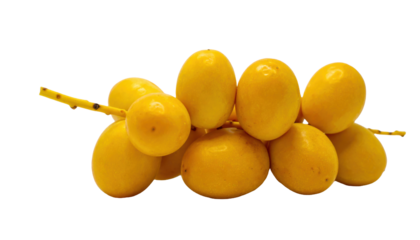 Hand holding with only the tips of the fingers gentle tapping gesture isolated on white cu png