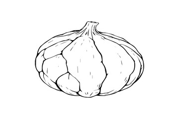 Naklejka premium Bluefig Monochrome Vector Render — AI Fruit Art Design
