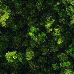 Naklejka premium Diverse bunch of green plants displaying a variety of shapes and sizes in natural habitat