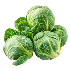 Fototapeta premium Brussels Sprouts on Transparent Background 