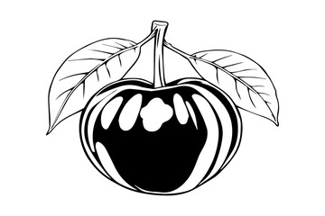 Brazilian cherry clean mono illustration