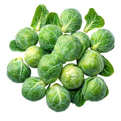 Fototapeta premium Brussels Sprouts on Transparent Background 