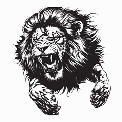 Lion Attacking Vector. Black and white Fierce Lion Roar image vector isolated on white background. © Istianah