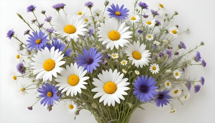 Fototapeta premium A stunning floral arrangement featuring white daisies and vibrant blue cornflowers on a white backdrop.